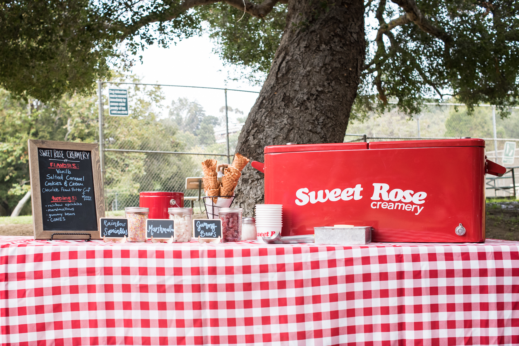 Sweet Rose Creamery's Vintage Red Cooler on a picnic table with a variety of cones and toppings in a park