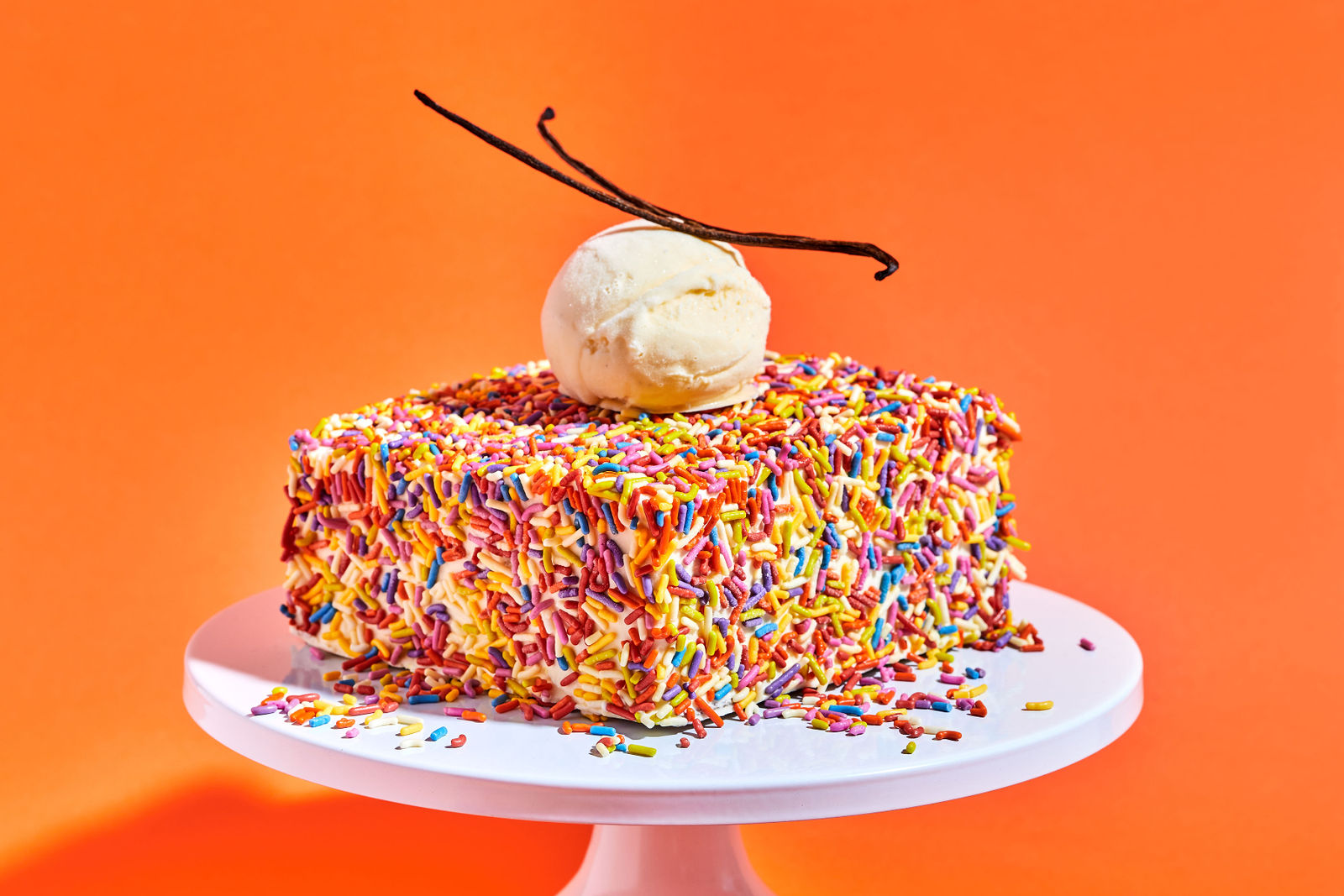 vanilla ice cream cake covered in rainbow sprinkles